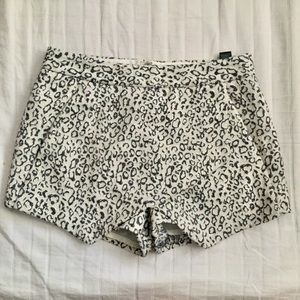 EXPRESS LEOPARD PRINT SKORT 💕
